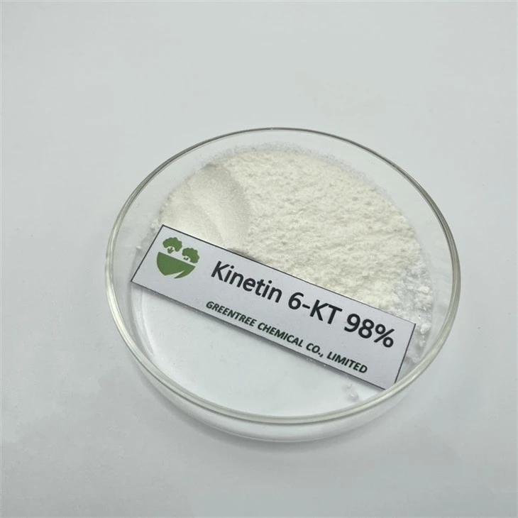 Agrochemical Auxin 6-Kt 6kt Kinetin Cytokinin 98% Tc