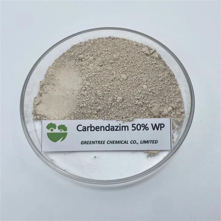 CAS NO. 10605-21-7 Fungicida carbendazim 50% Wp C9H9N3O2