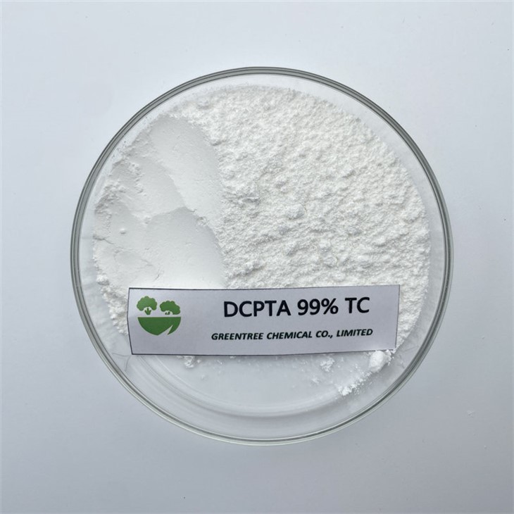 CAS NO. 65202-07-5 Fertilizzante fogliare Fitoregolatore DCPTA 99 percento