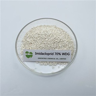 N. CAS 138261-41-3 Sostanze chimiche agricole Insetticida Imidacloprid 70 percento Wdg