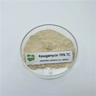 CAS 6980-18-3 Disinfestazione Kasugamicina 70% Tc C14H25N3O9