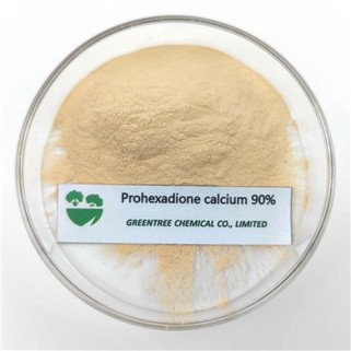 CAS NO. 127277-53-6 Ormone vegetale 90% tc 20% wdg 10% wdg Prohexadione Calcio Prodotti