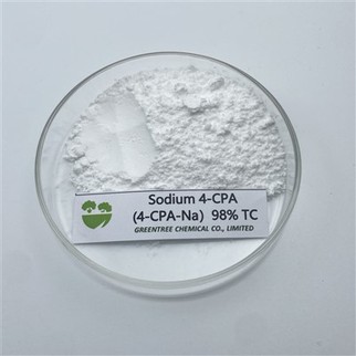 CAS NO. 13730-98-8 4-Sale sodico dell'acido clorofenossiacetico; 4-CPA-NA solubile al 98% in acqua