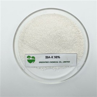 N. CAS 60096-23-3 Ormone radicante IBA-K Indolo Butirrico Acido Potassico Sale 98%