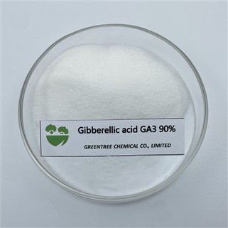 CAS NO. 77-06-5 Ga3 90%Tc Acido Gibberellico Favorisce la crescita delle piante