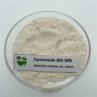 Controllo della crescita eccessiva dell'ormone vegetale Daminozide (B9) Pgr 99%.