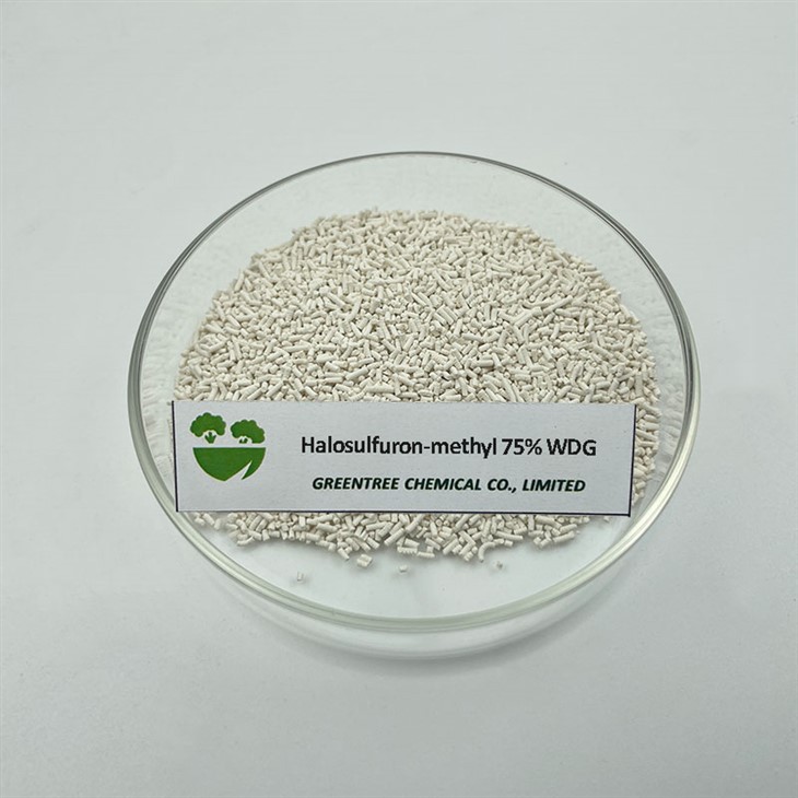 CAS 100784-20-1 Halosulfuron metile 75% Wdg erbicida chimico